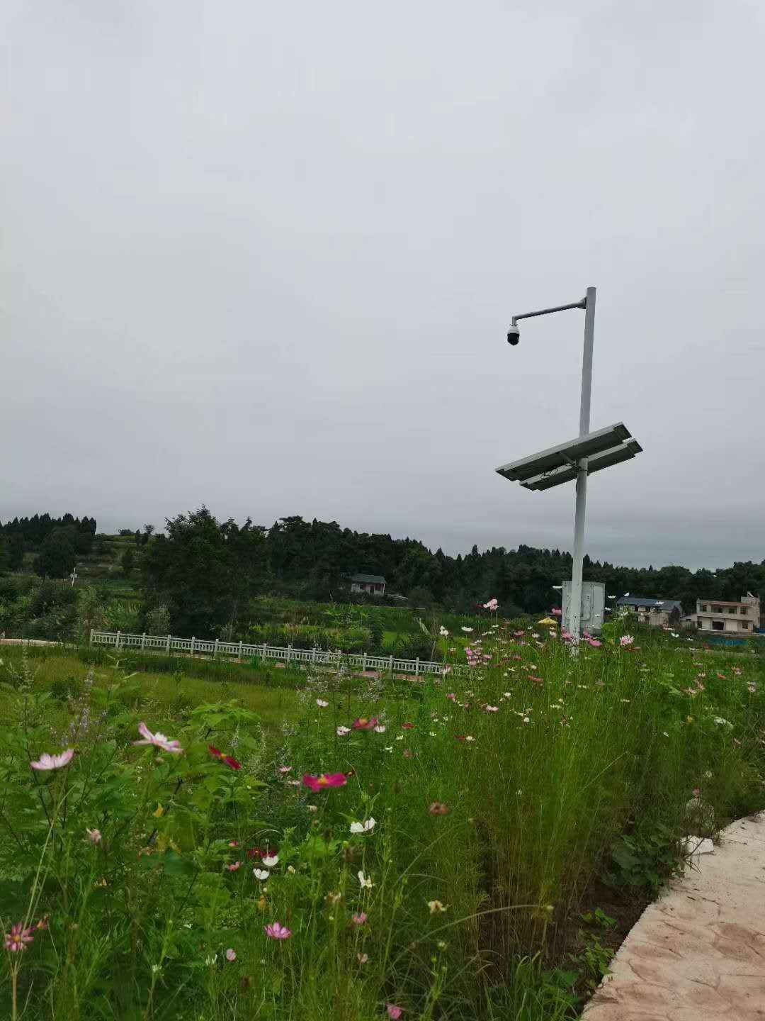 30套農(nóng)業(yè)園太陽能4G監(jiān)控